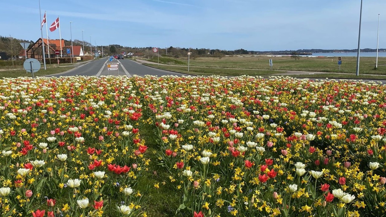 Photo of Outdoor in Lyngsbæk Strand