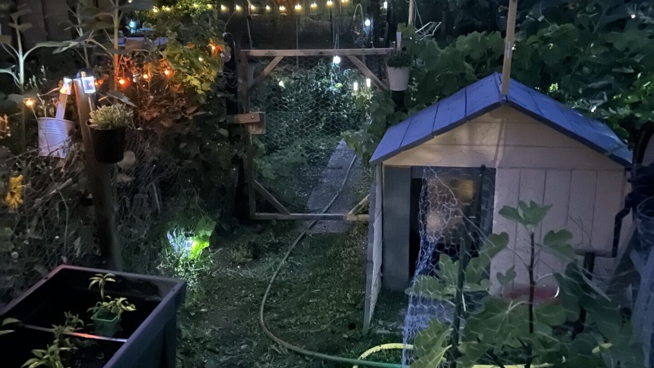 Photo of Outdoor in Clairy-Saulchoix