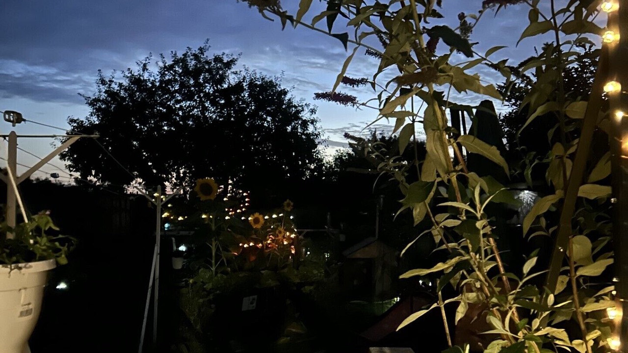 Photo of Outdoor in Clairy-Saulchoix