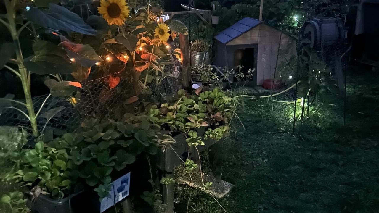 Photo of Outdoor in Clairy-Saulchoix