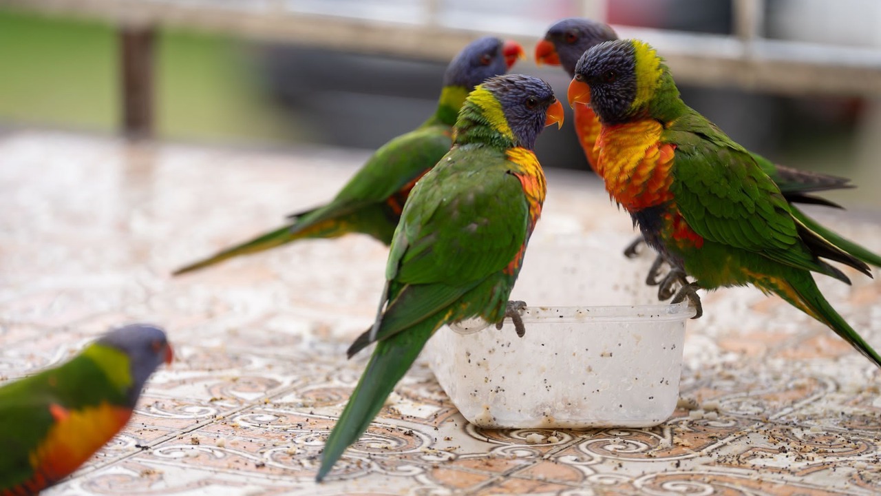 Photo of Others in Southport