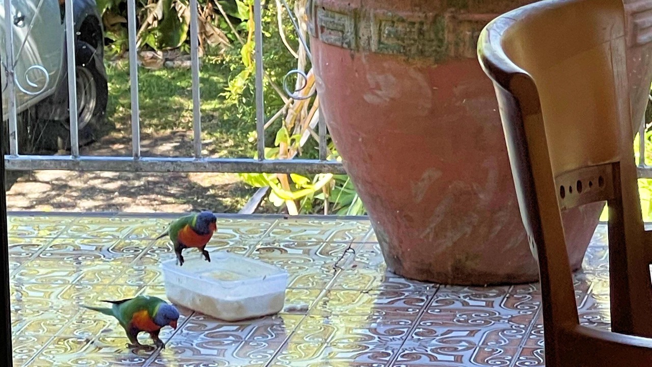 Photo of Outdoor in Southport