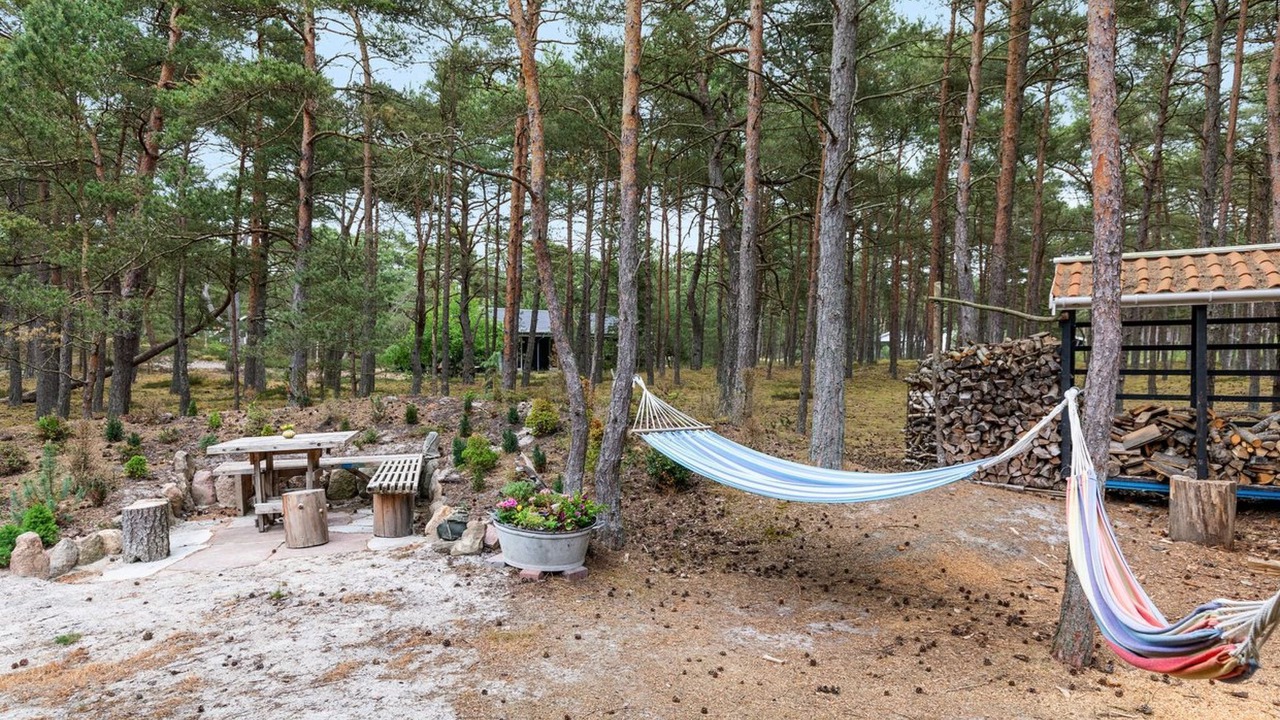 Photo of Outdoor in Spidsegard