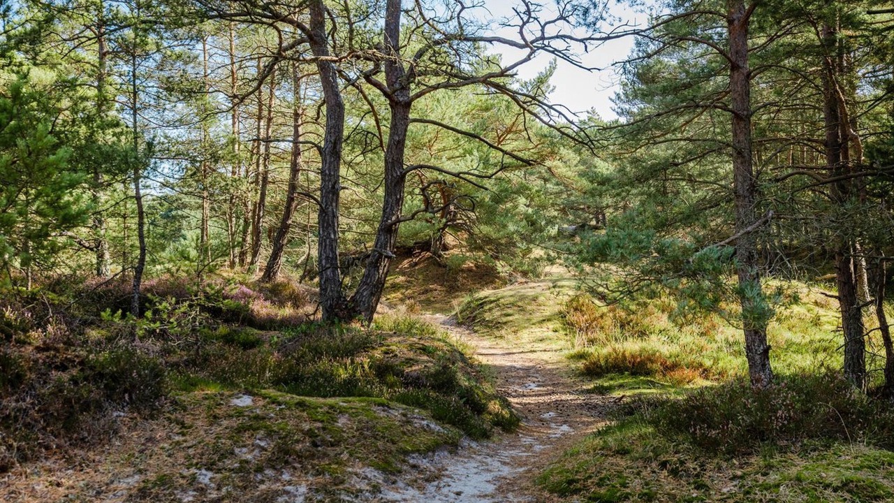 Photo of Outdoor in Dueodde