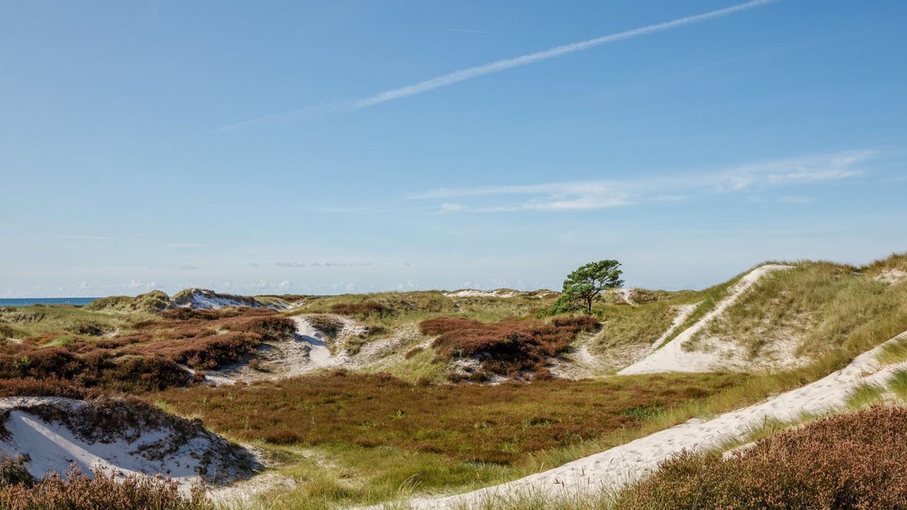 Photo of Outdoor in Dueodde