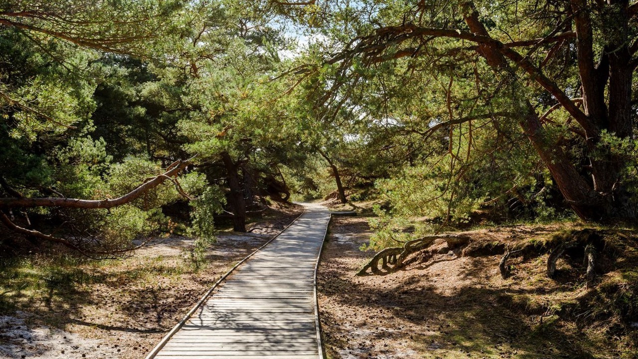 Photo of Outdoor in Dueodde