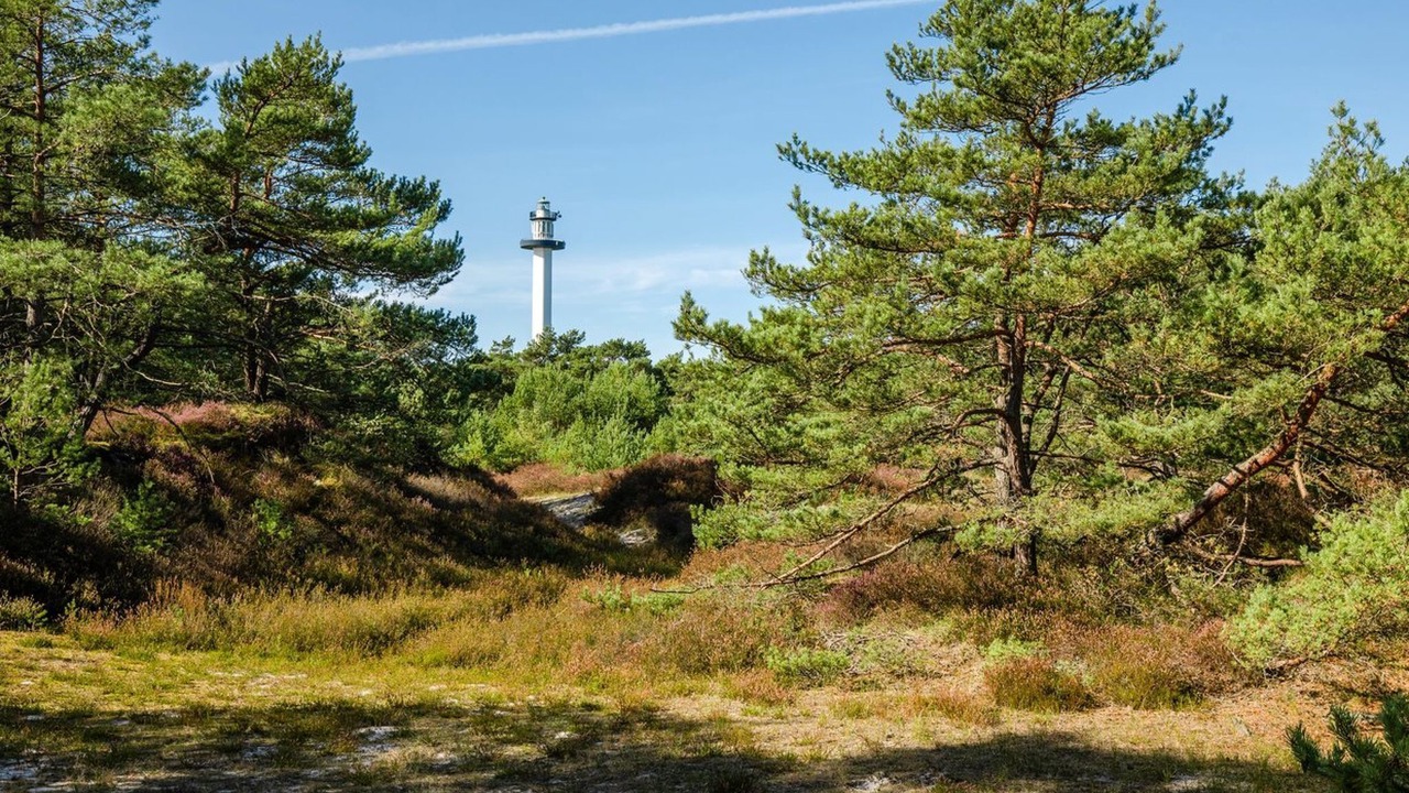 Photo of Outdoor in Dueodde