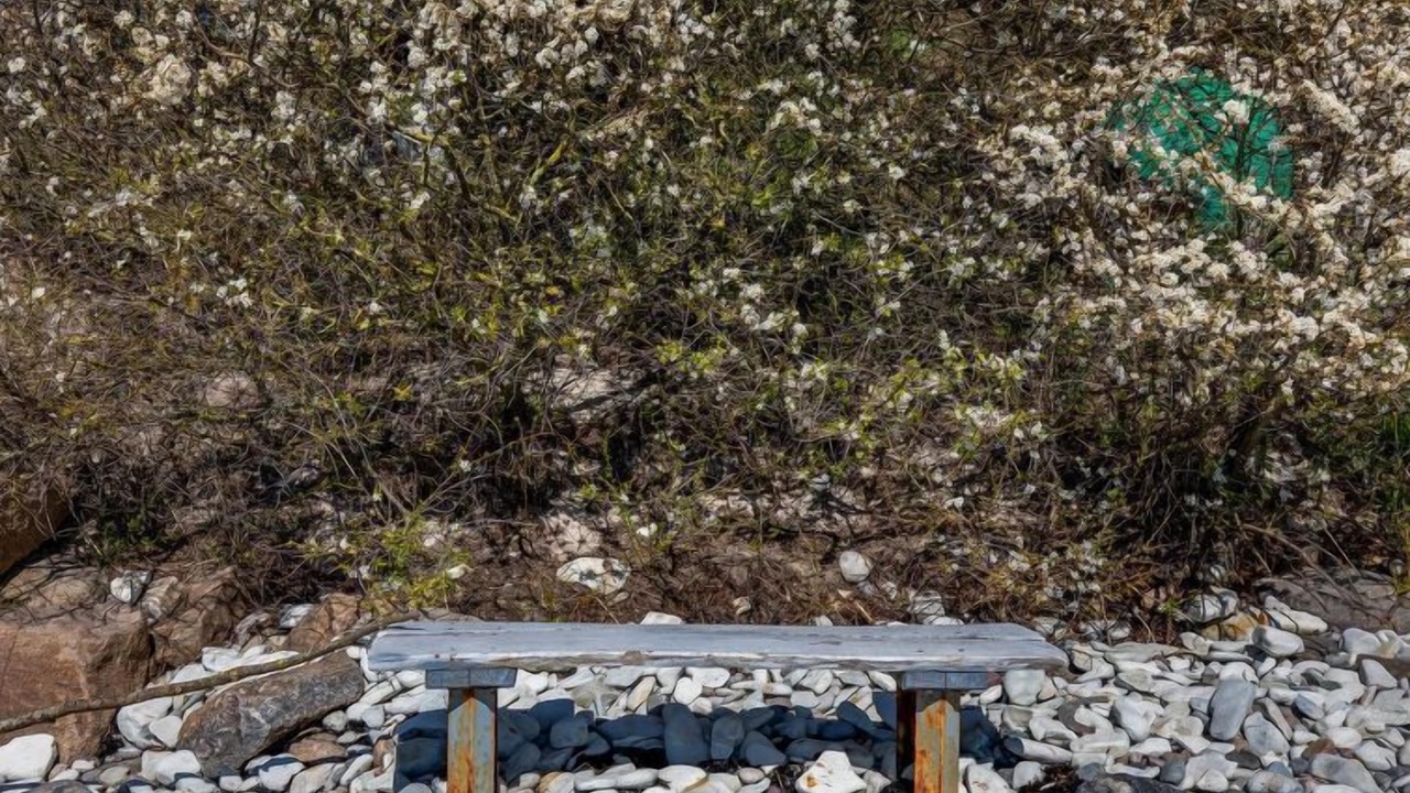 Photo of Outdoor in Arnager