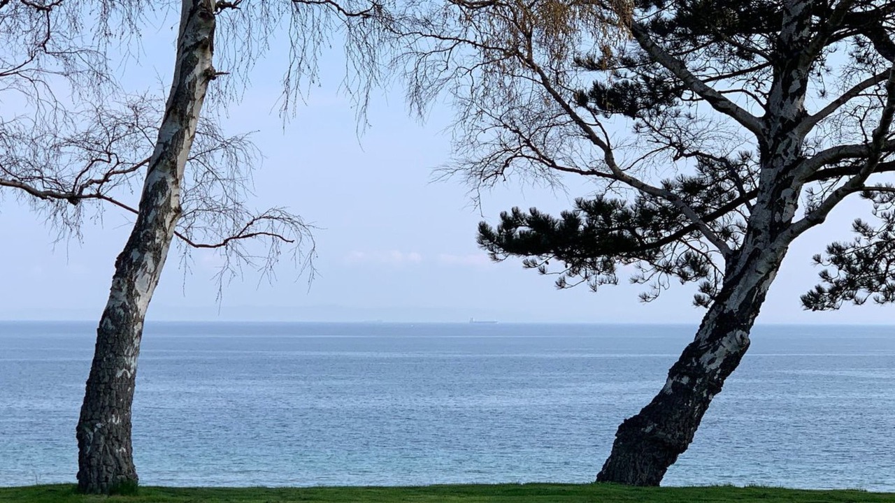 Photo of Others in Gilleleje