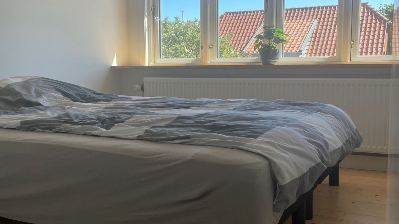 Photo of Others in Skagen
