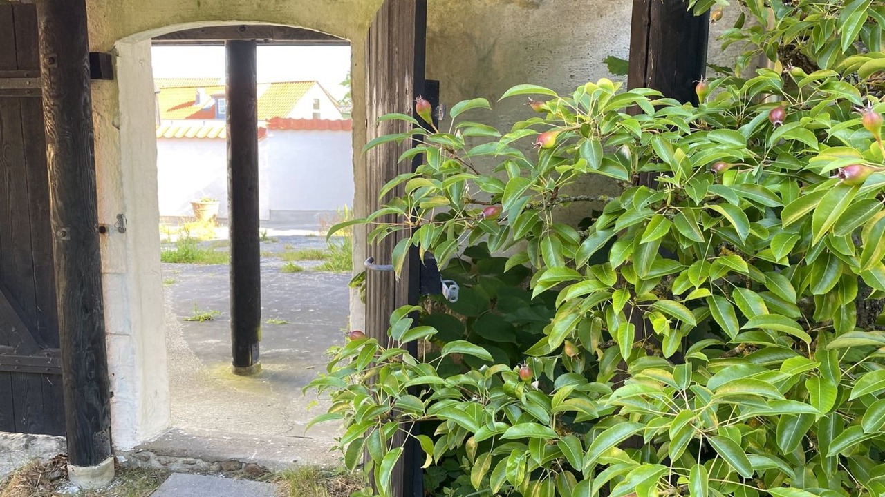 Photo of Others in Vestero Havn