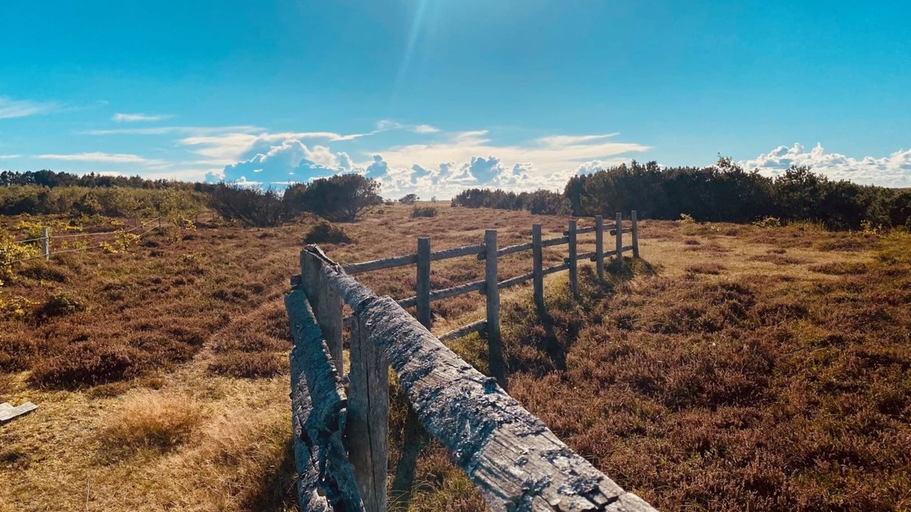 Photo of Outdoor in Læsø