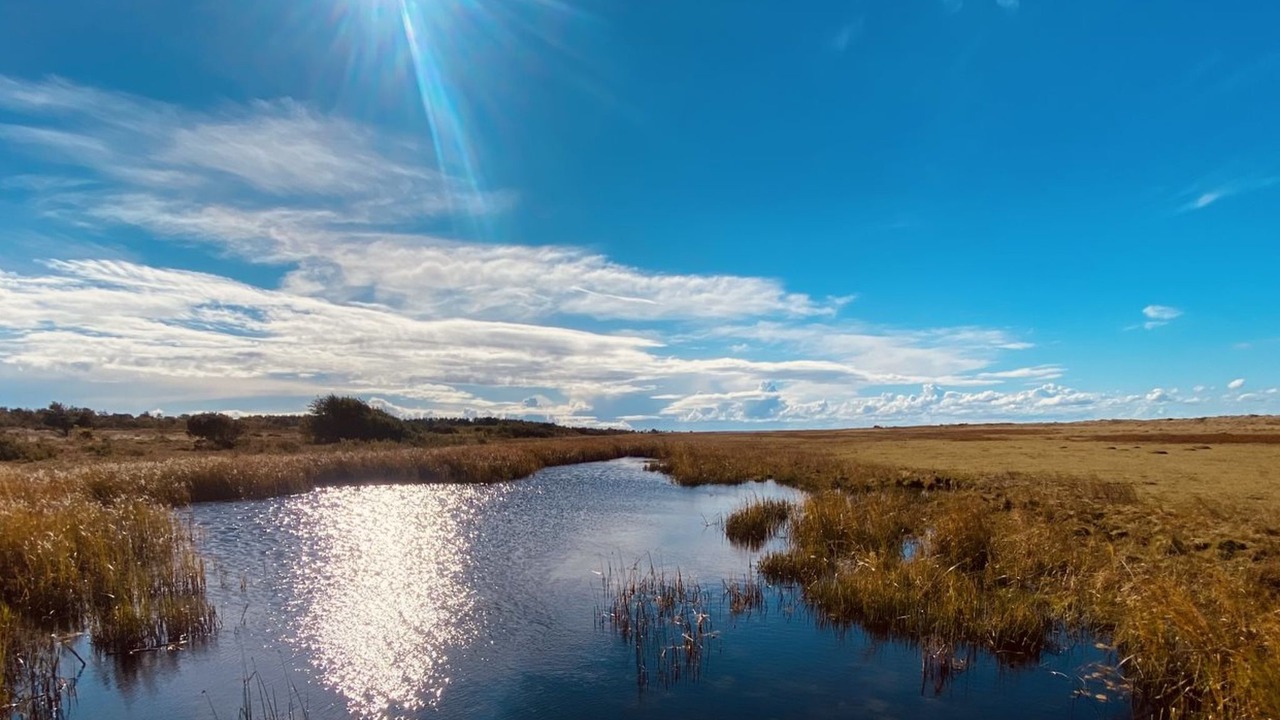 Photo of Outdoor in Læsø