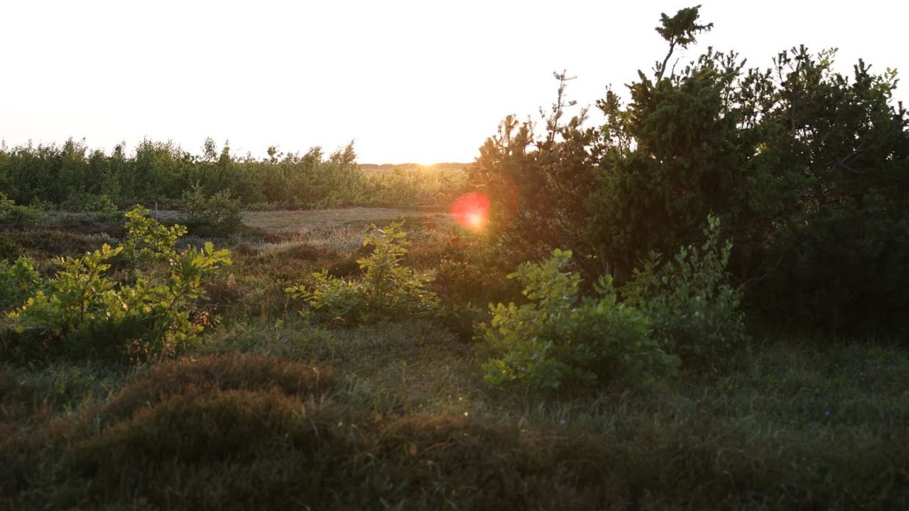 Photo of Outdoor in Læsø