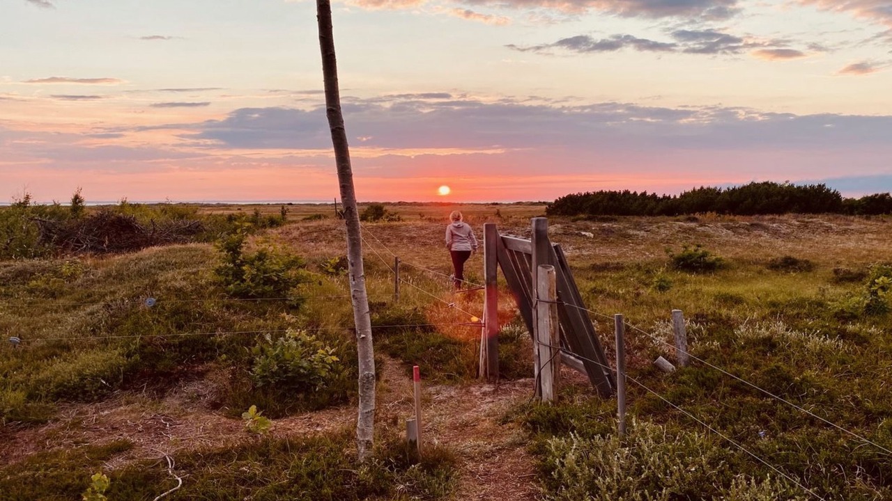 Photo of Outdoor in Læsø