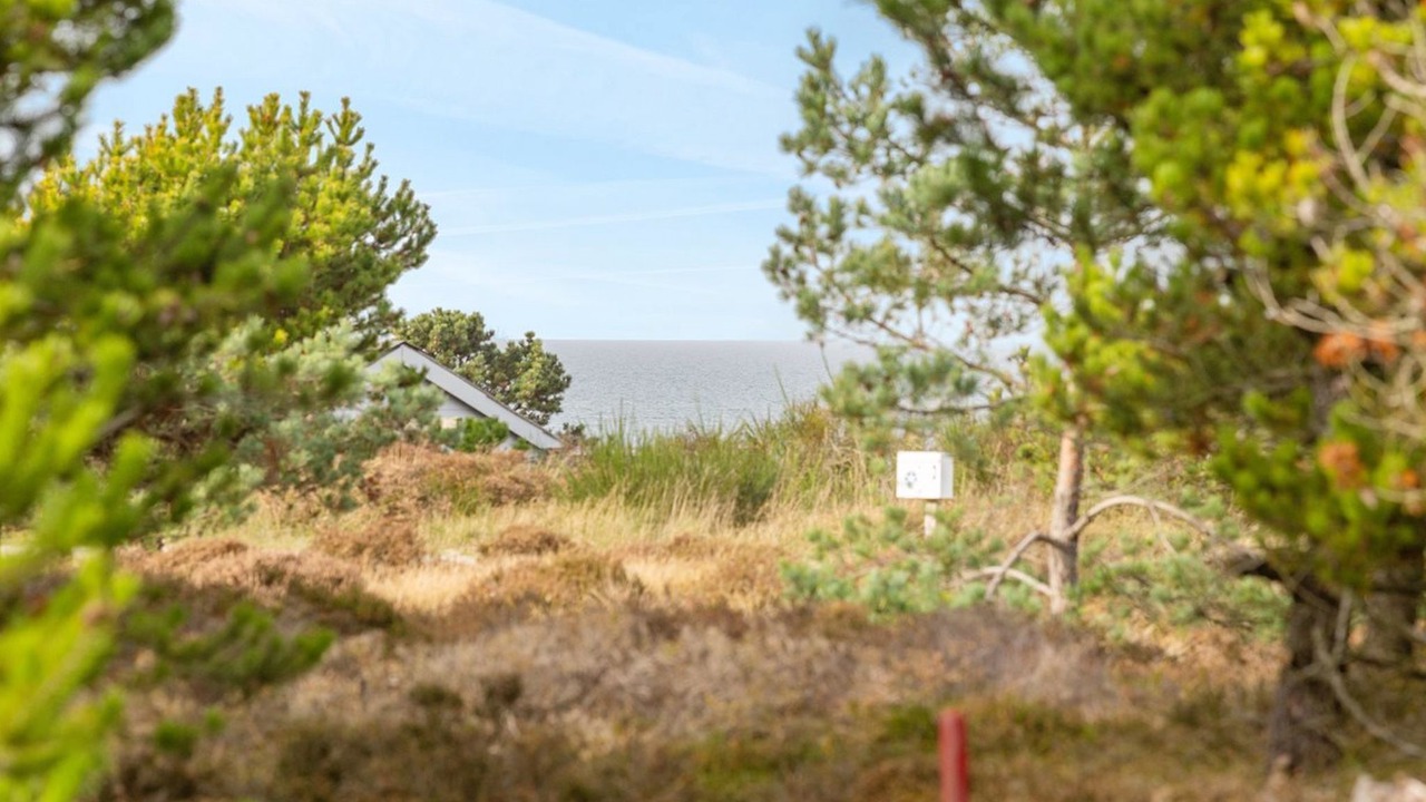 Photo of Others in Vestero Havn