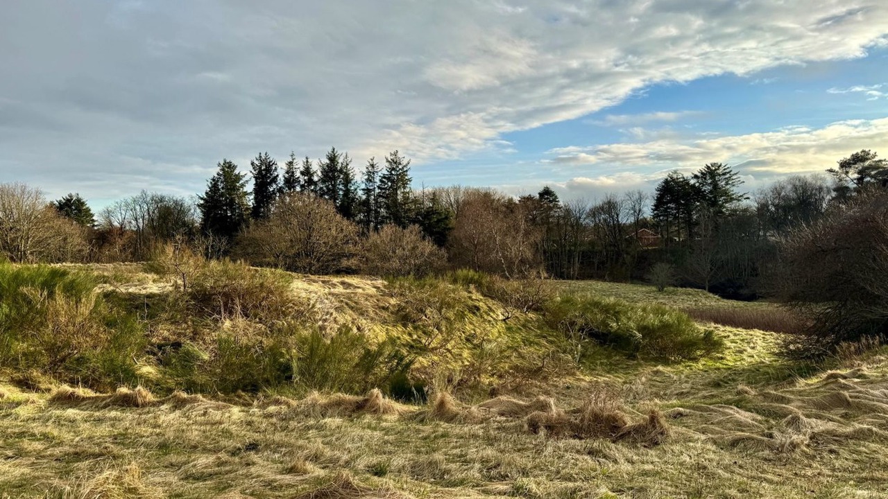 Photo of Outdoor in Tversted