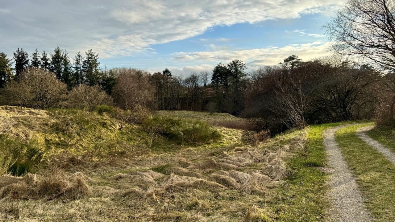 Photo of Outdoor in Tversted