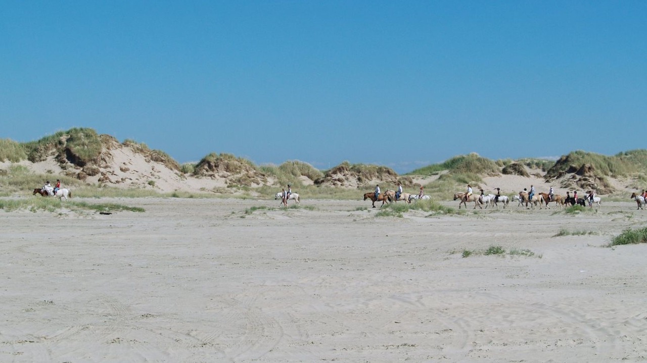 Photo of Outdoor in Rømø Kirkeby