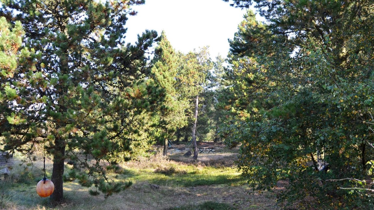 Photo of Others in Rømø Kirkeby