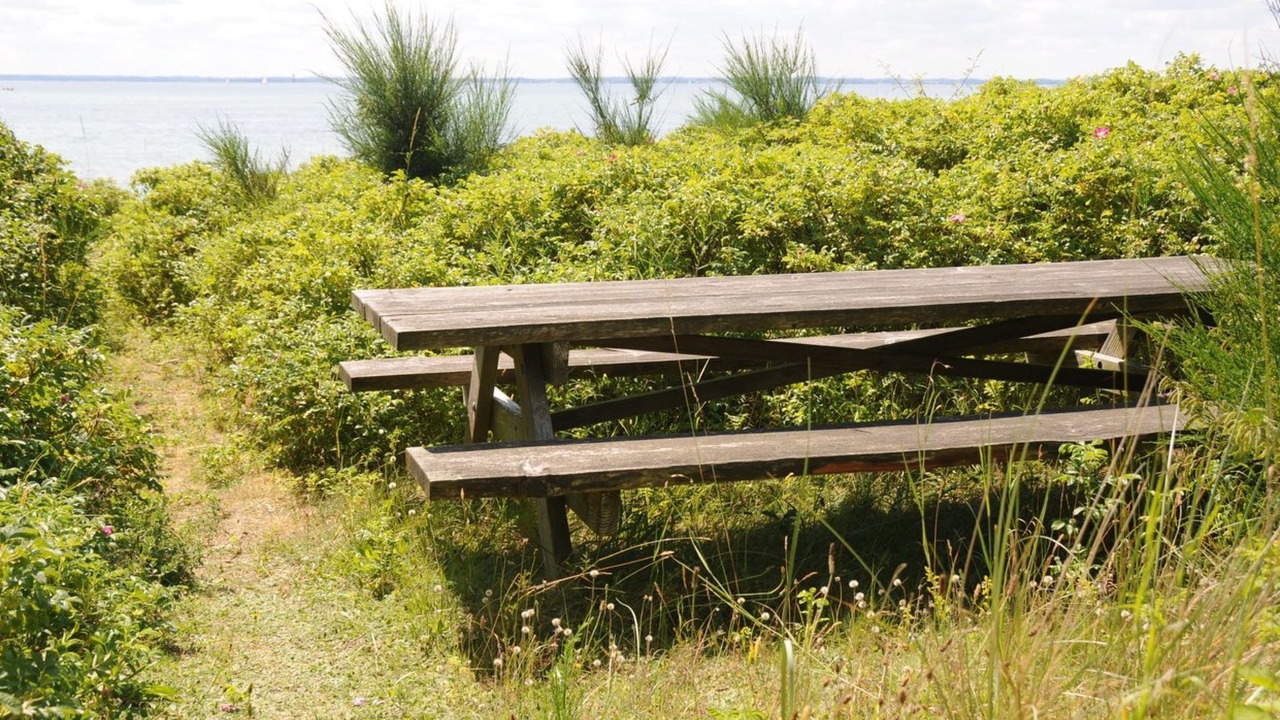 Photo of Outdoor in Kegnæshøj
