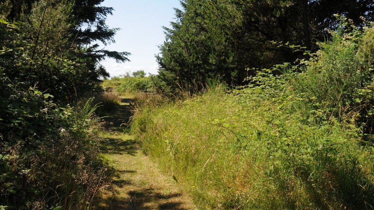 Photo of Outdoor in Kegnæshøj