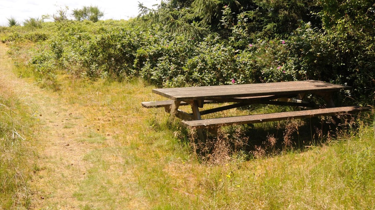 Photo of Outdoor in Kegnæshøj