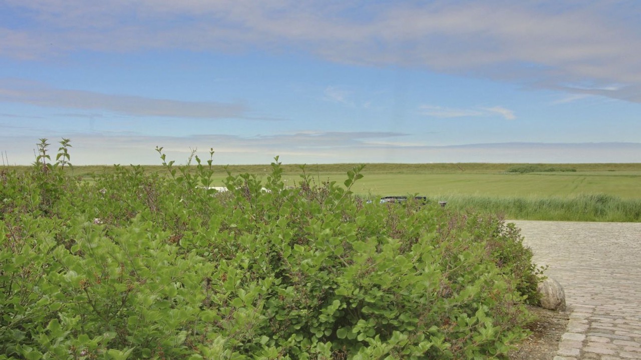 Photo of Others in Ballum