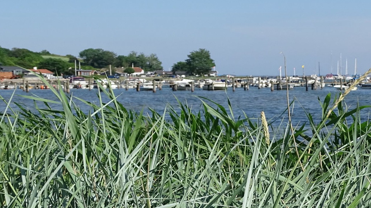 Photo of Outdoor in Diernæs