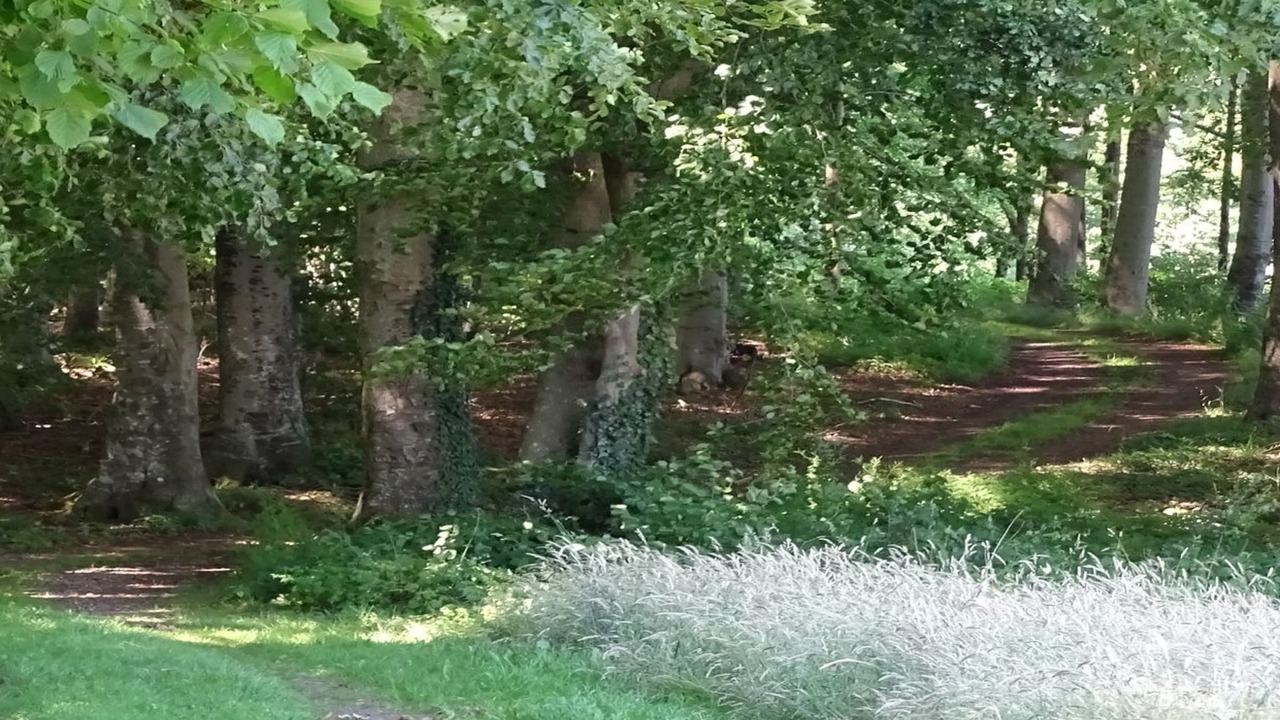 Photo of Outdoor in Diernæs
