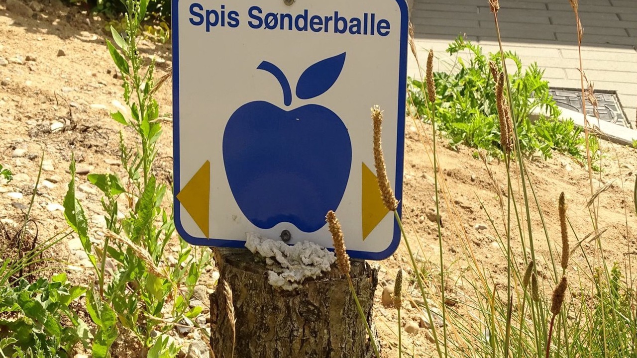 Photo of Outdoor in Diernæs