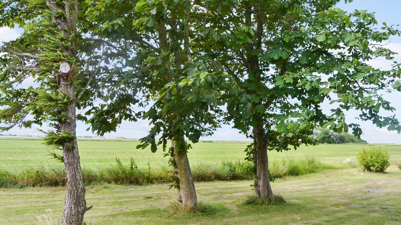 Photo of Others in Ballum