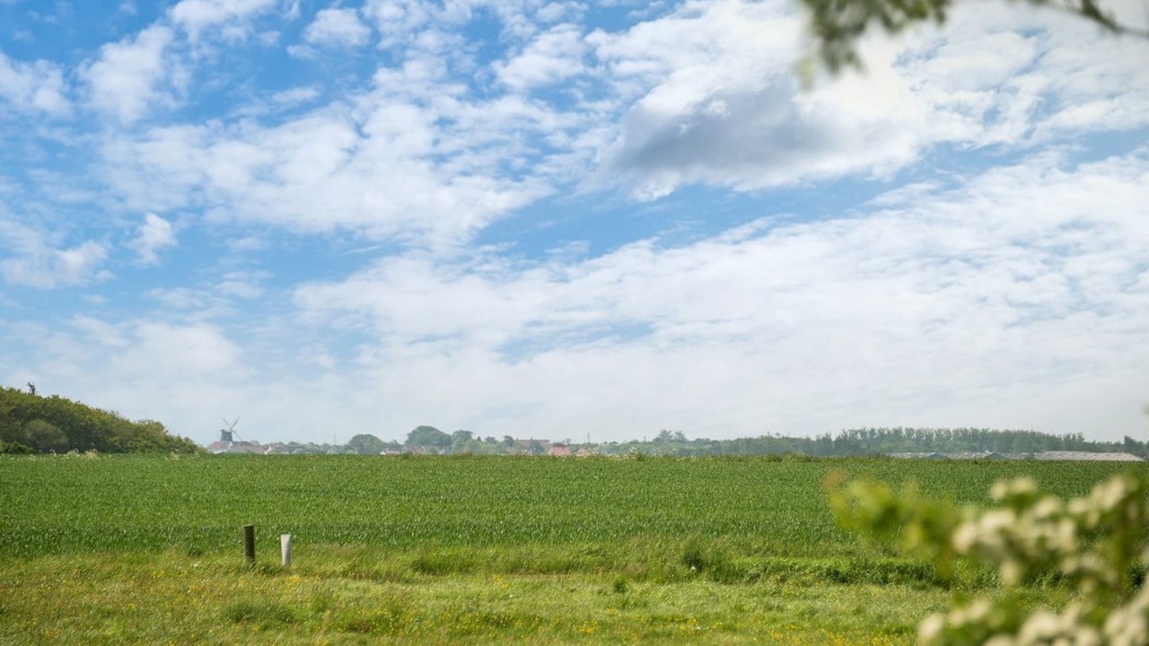 Photo of Others in Hojer