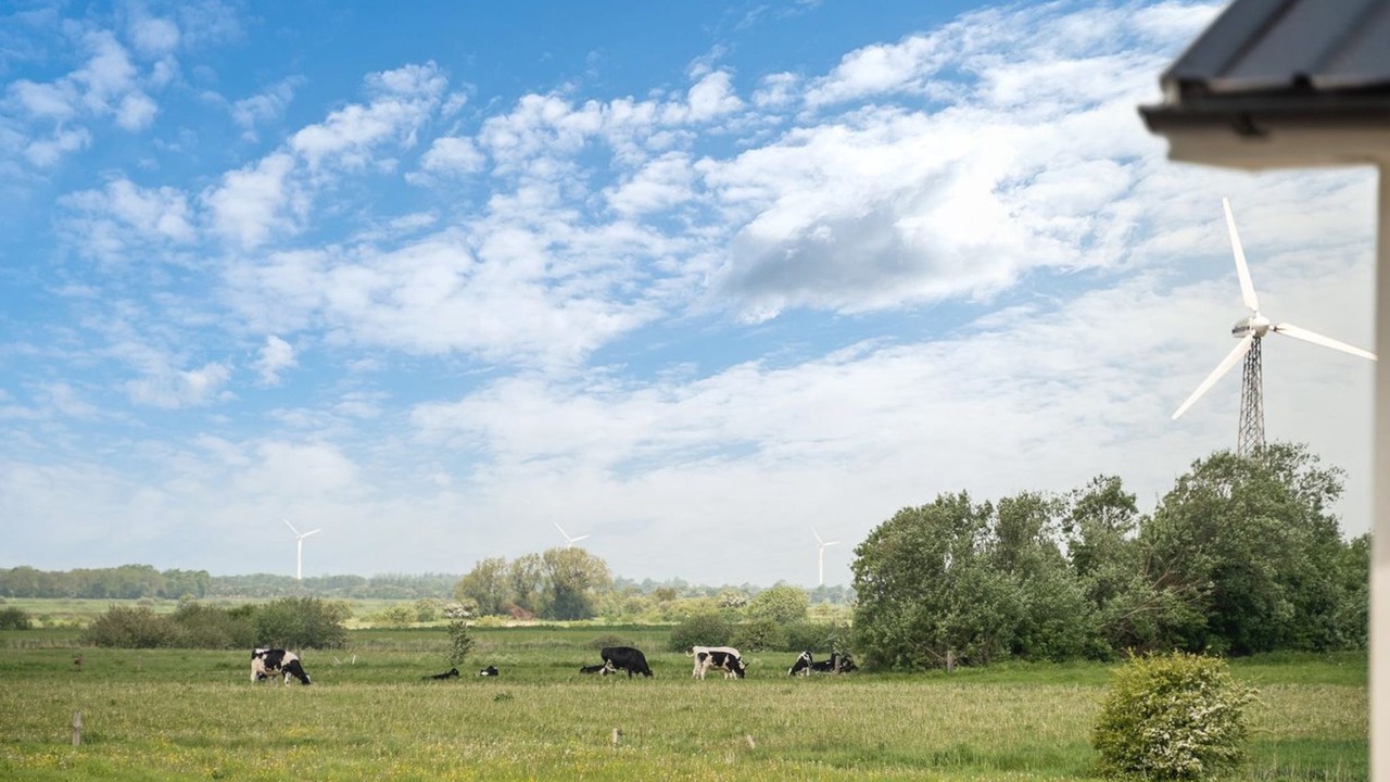 Photo of Others in Hojer