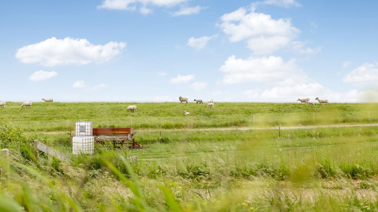 Photo of Others in Emmerlev