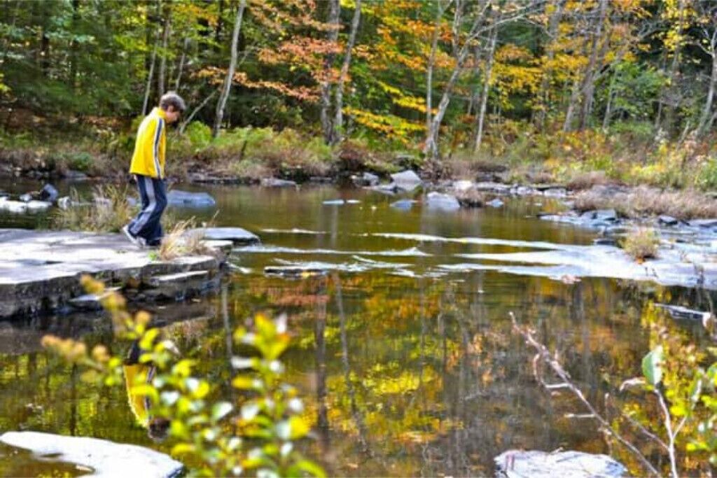 Photo of Others in Richland