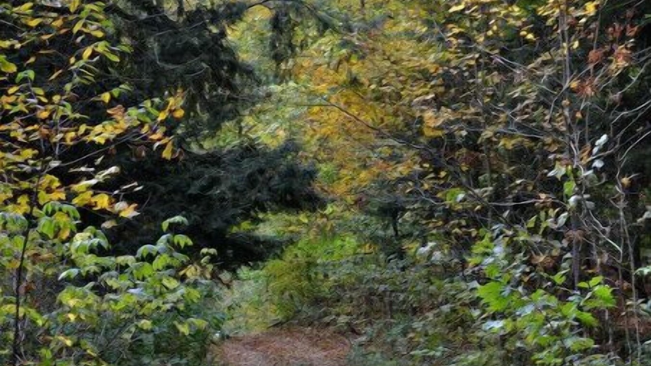 Photo of Outdoor in Richland