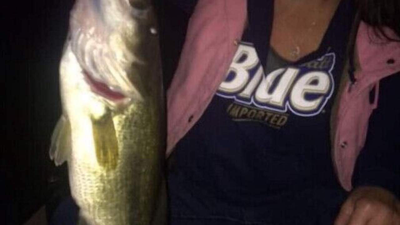 Photo of Others in Richland