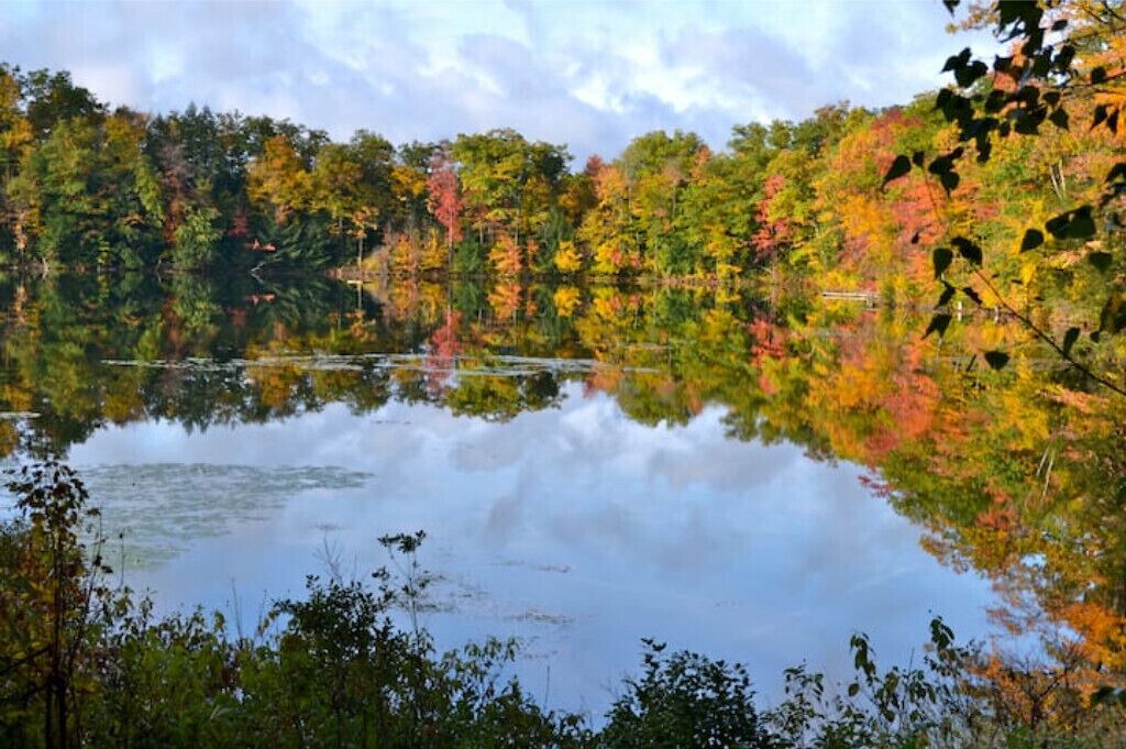 Photo of Outdoor in Richland