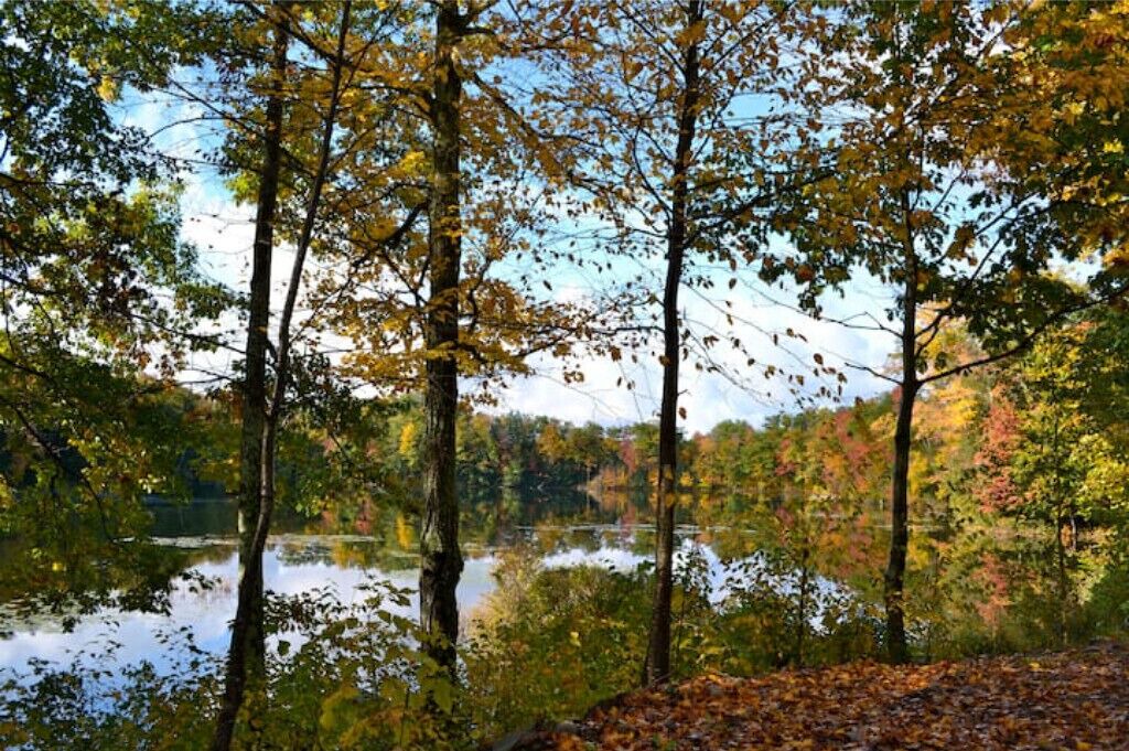 Photo of Others in Richland