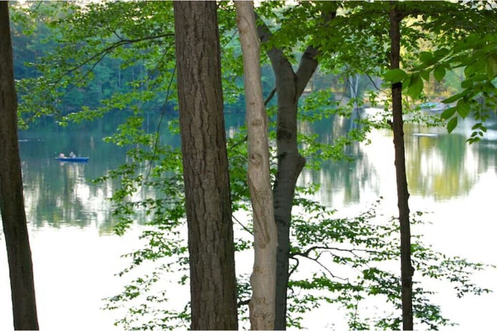 Photo of Outdoor in Richland