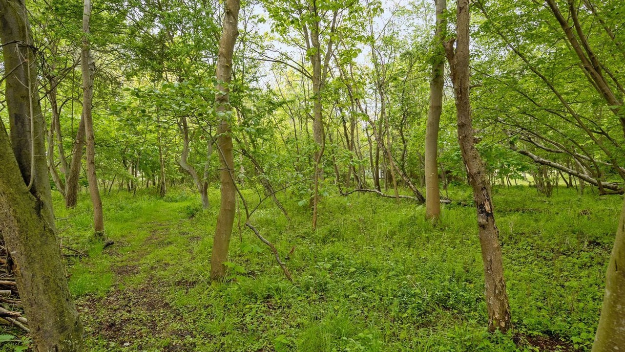 Photo of Others in Ristinge