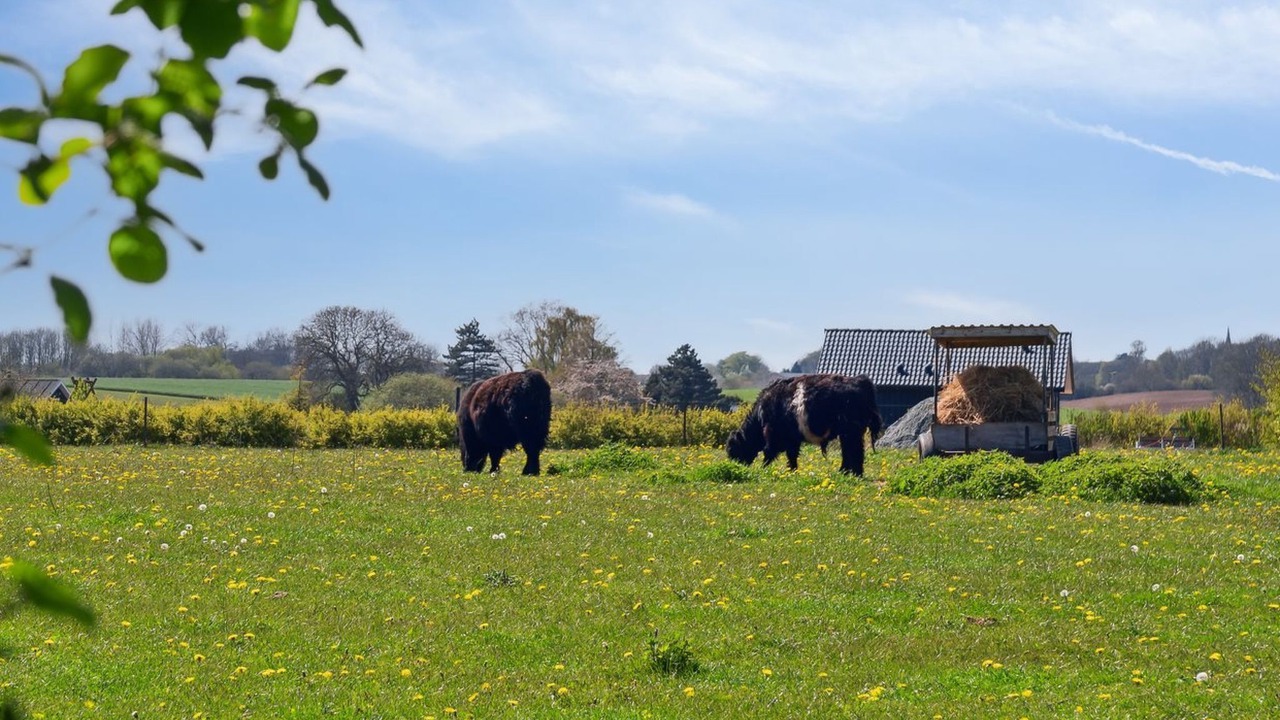 Photo of Outdoor in Frørup