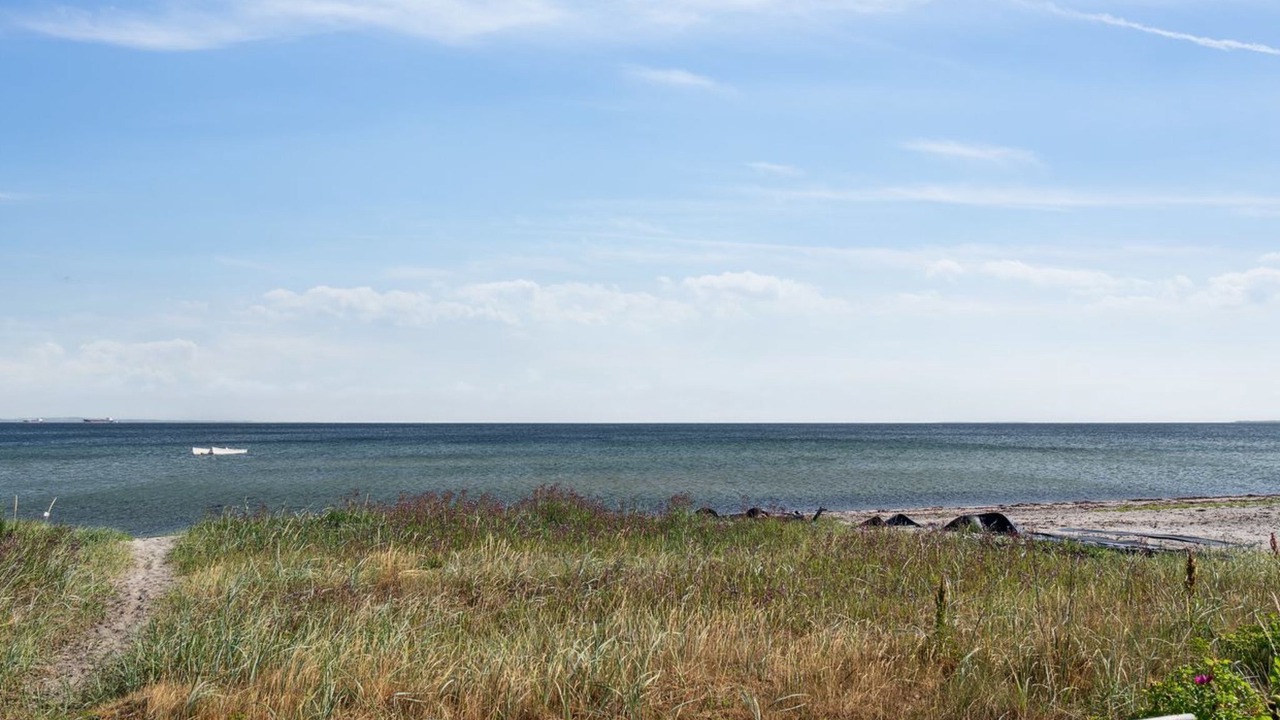 Photo of Others in Vejlby Fed
