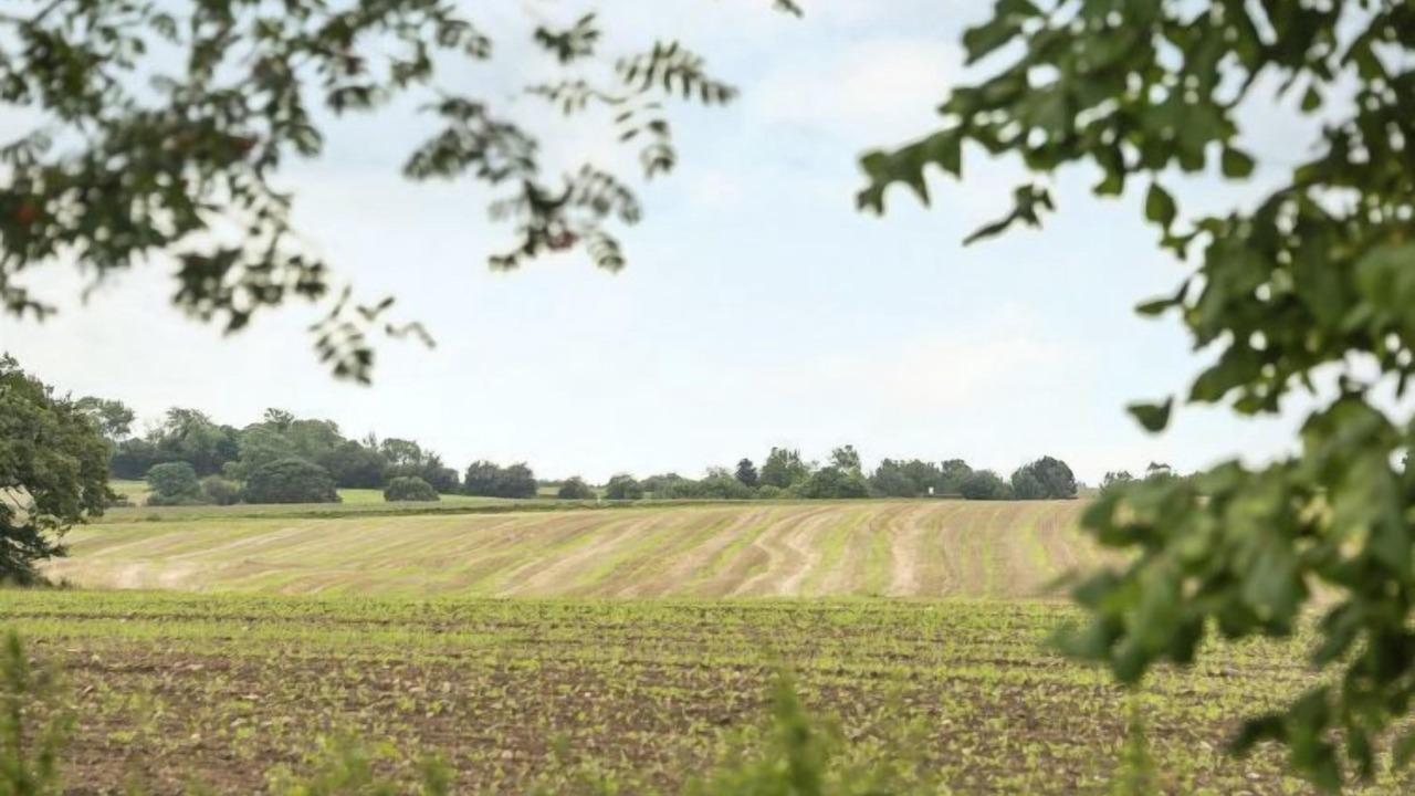 Photo of Outdoor in Vikær Strand