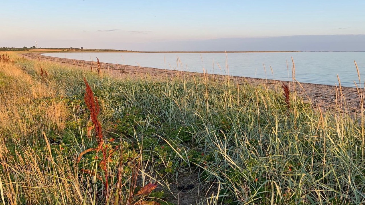 Photo of Outdoor in Hejsager Strand