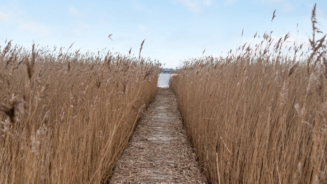 Photo of Outdoor in Holbaek