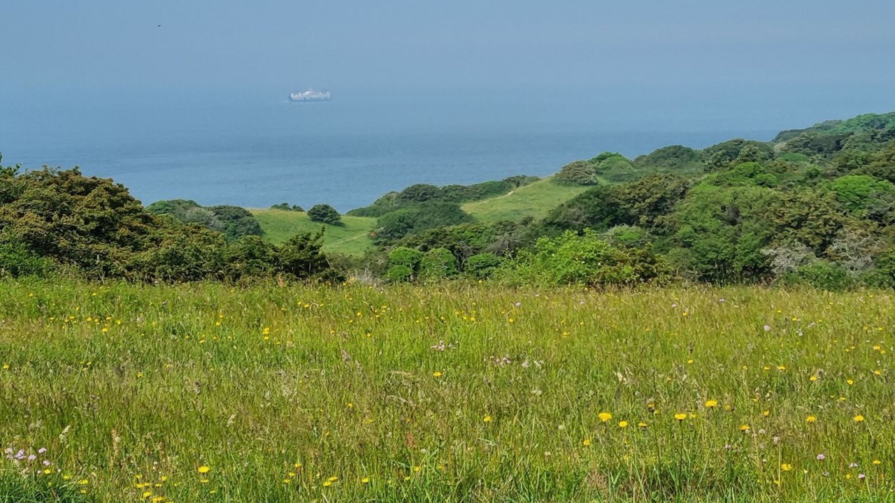 Photo of Outdoor in Kalundborg