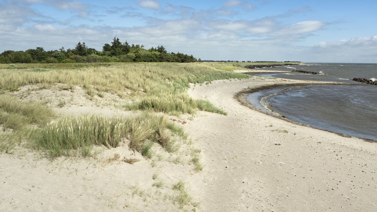 Photo of Outdoor in Rodby