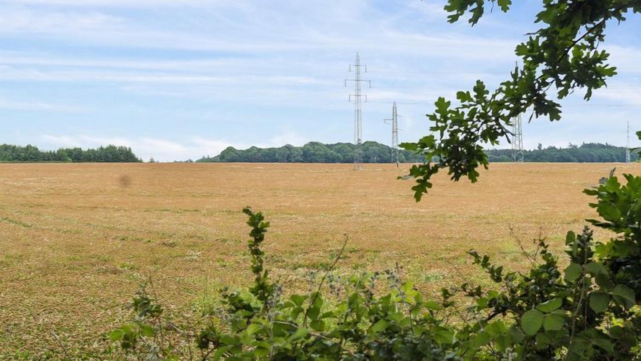 Photo of Outdoor in Lolland Municipality